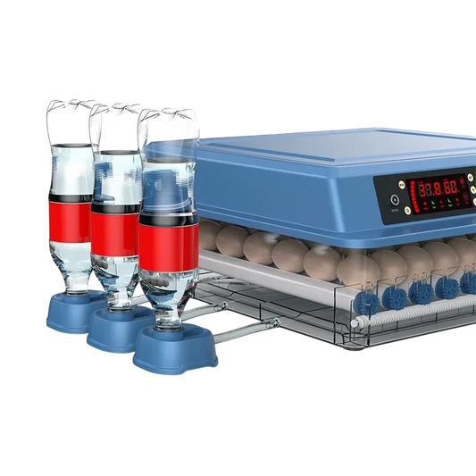 Inkubator za 56 jaja sa kontrolom vlage i temperature