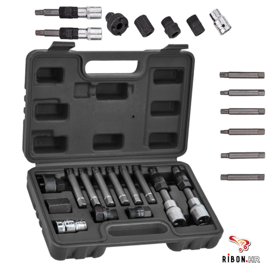 13 djelni profesionalni set za alternatora, i remenica