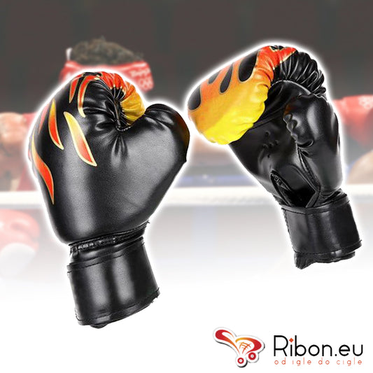 Profi Rukavice za boks